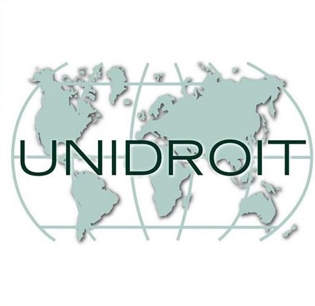 An Analysis for Gap-Filling Role of UNIDROIT Principles